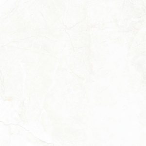 Sary Blanco 24"x24"