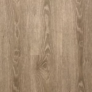 Oyster Oak