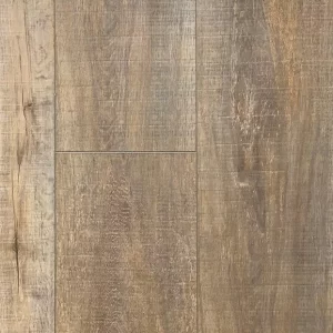 Georgian Bluffs Oak